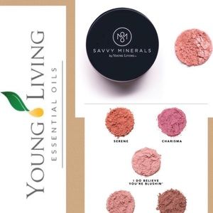 Savvy Minerals Blush & Brush bundle